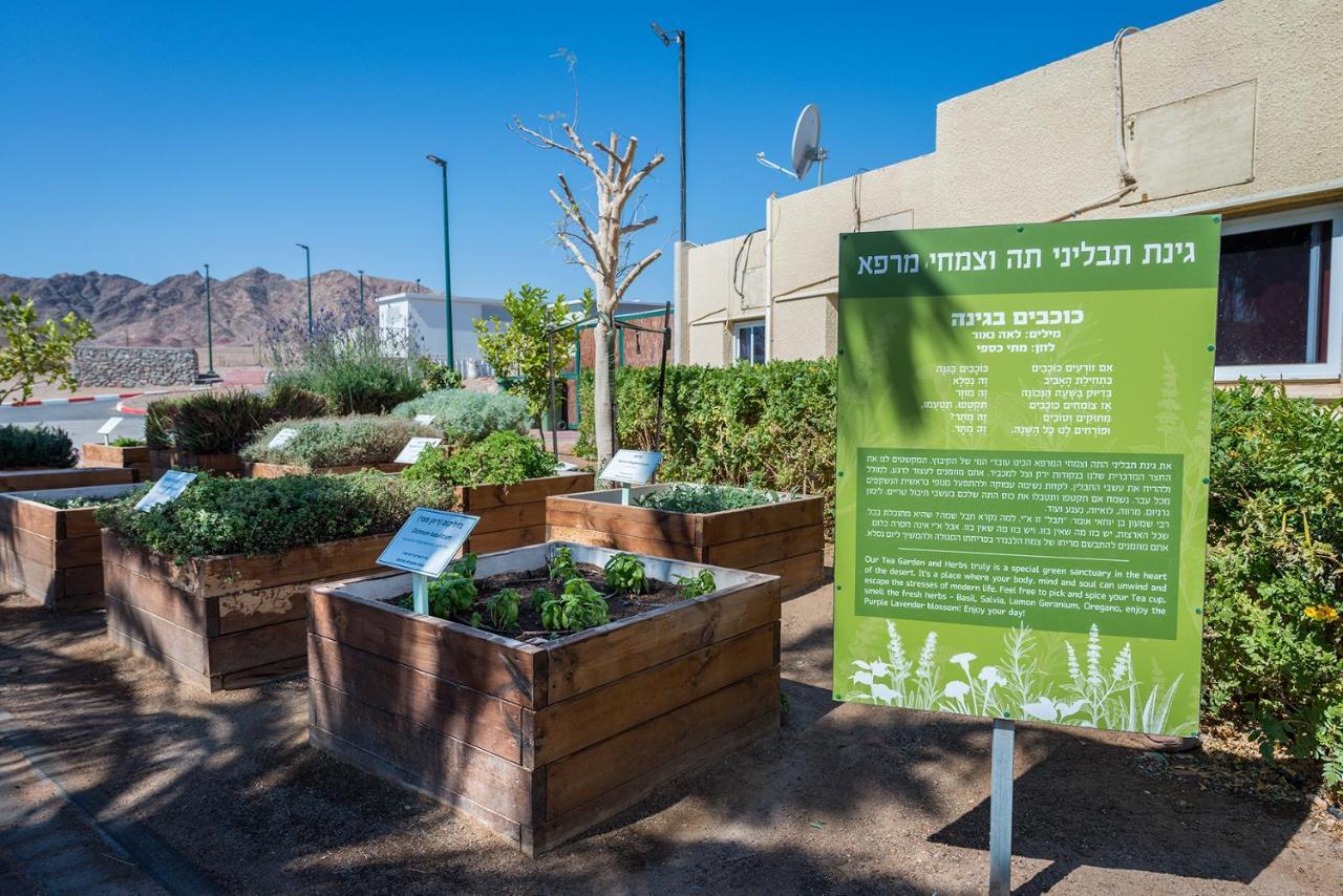Eilot Kibbutz Country Lodging Eilat Extérieur photo