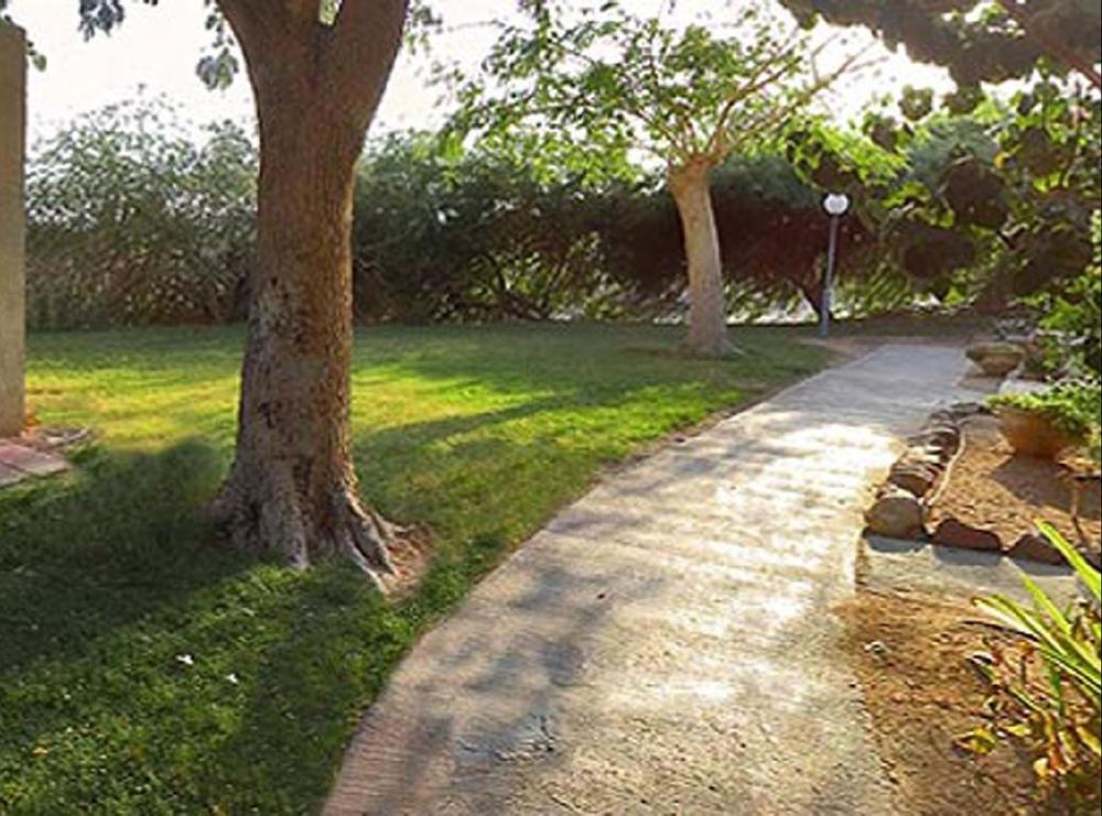 Eilot Kibbutz Country Lodging Eilat Extérieur photo