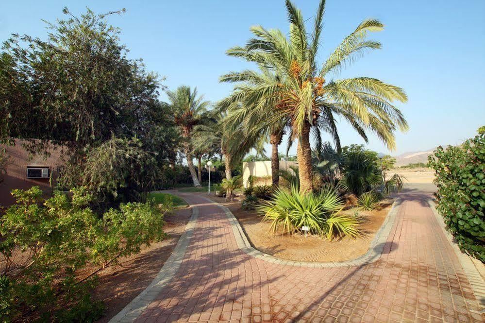 Eilot Kibbutz Country Lodging Eilat Extérieur photo
